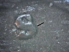 1947-S WASHINGTON QUARTER RPM S OVER S EAST  OO9