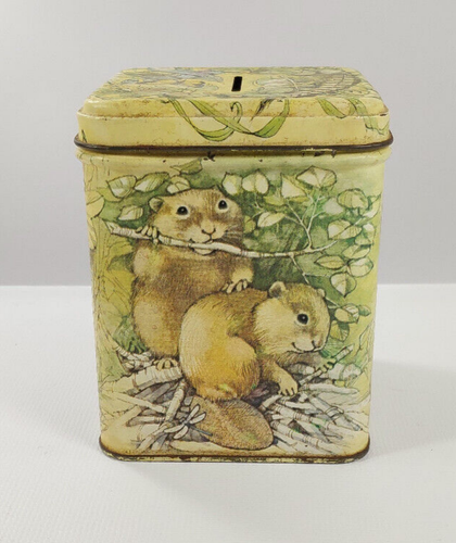Vintage Hallmark latta quadrato risparmio moneta bosco scoiattolo castoro procione - Foto 5 di 14