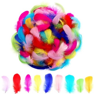 Lamar 300Pcs Colorful Feathers 2-3 Inches Bulk Feathers for Crafting, Craft S...