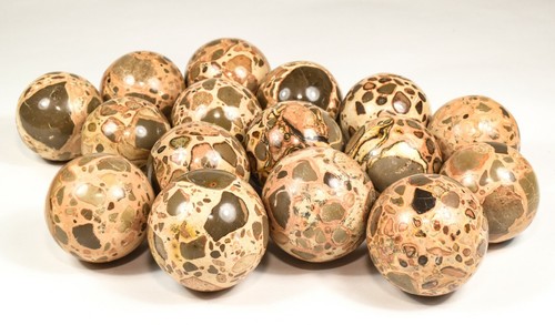 47mm Leopardite / Leopardskin Jasper Sphere Polished Crystal Mineral Peru (1PC) - Picture 2 of 7
