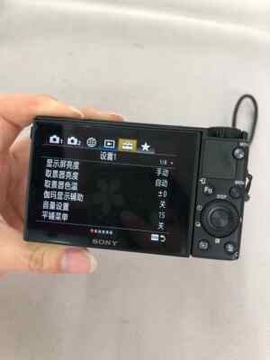 Sony Cyber-Shot DSC-RX100 M5A RX100V 20.1 MP 2.9x Zoom 4K