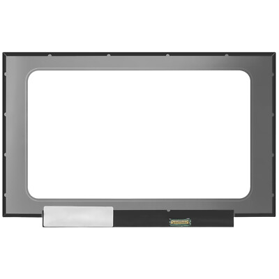 Schermo 14 compatibile NE140FHM-N61 V8,1 NT140FHM-N43 V8,0 [30pin 1920x1080