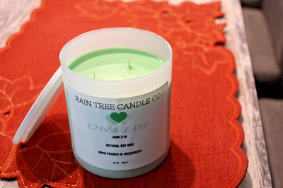 HAND POURD CIDER LAND 16 OZ SOY WAX HOT CIDER SPICED CINNAMON