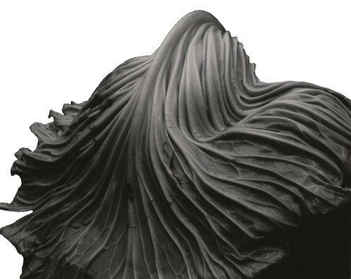 1939 Vintage EDWARD WESTON Point Lobos Sea Lion Cove Landscape