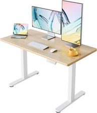 HUANUO 48" X 24" Electric Standing Desk Adjustable Height, 4 Memory Height Setti