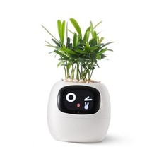 Smart pet Planter Robot Guidance on Plant Care with Emojis, Adorable White