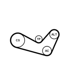 Keilrippenriemensatz für Seat Leon 1M1 Toledo 2 1M2 | 24229633