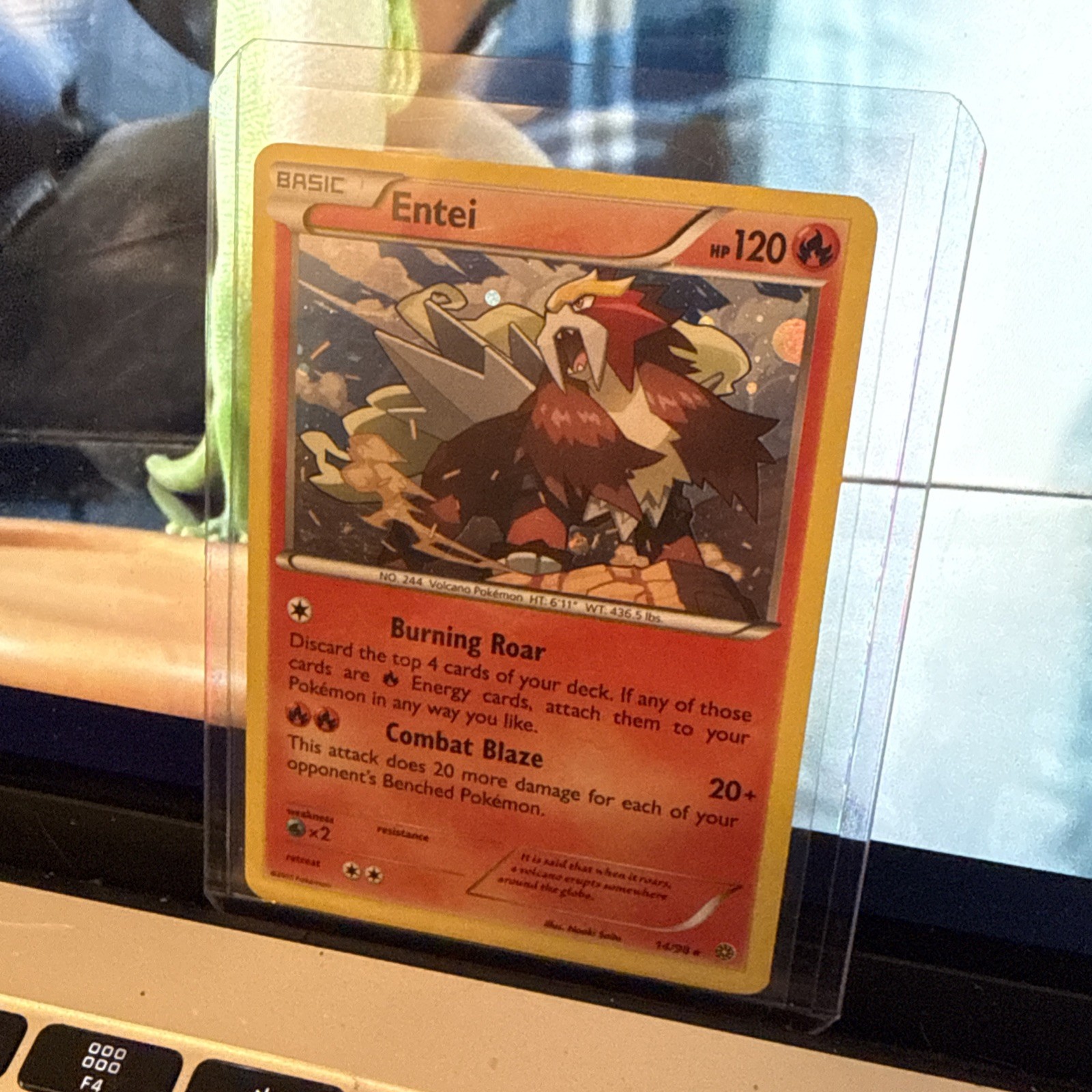 Entei 14/98 Cosmos Holo Rare Ancient Origins Pokemon TCG - MP