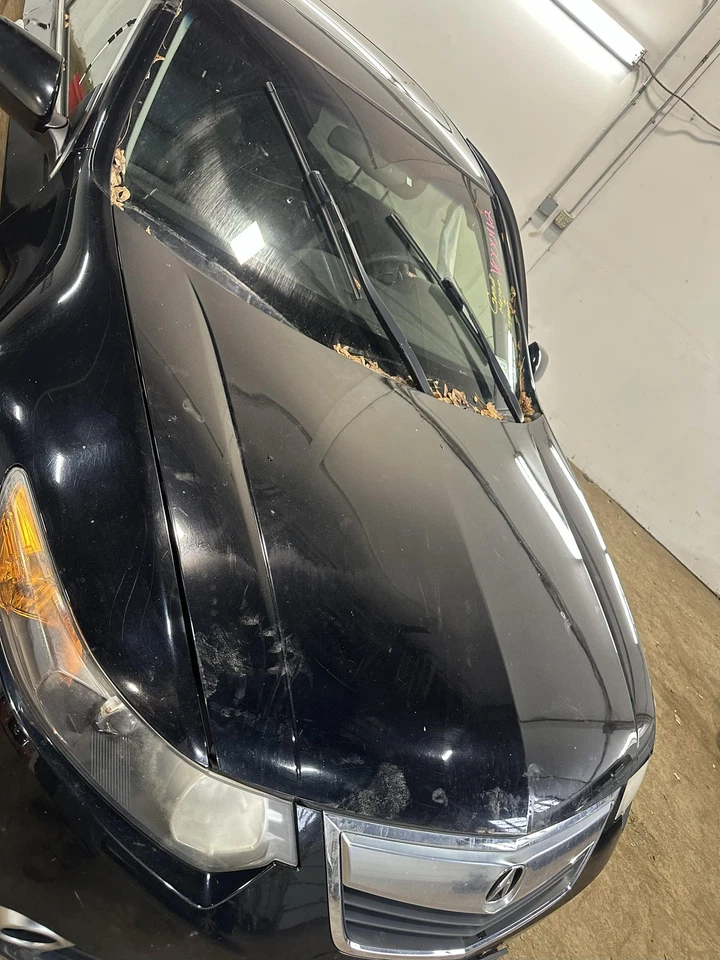 Used Hood fits: 2013 Acura Tsx  Grade B — 第 3/4 张图片