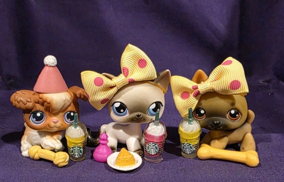 Authentic Littlest Pet Shop 37 Poodle 5 Cat White Black 61 German