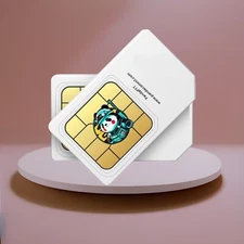 Anysecu HD-760 GLOBAL DATA SIM CARD