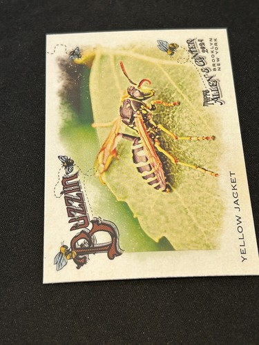 2024 Topps Allen and Ginter Inserts - Pick Your Card - Bulk Savings - Picture 14 of 96