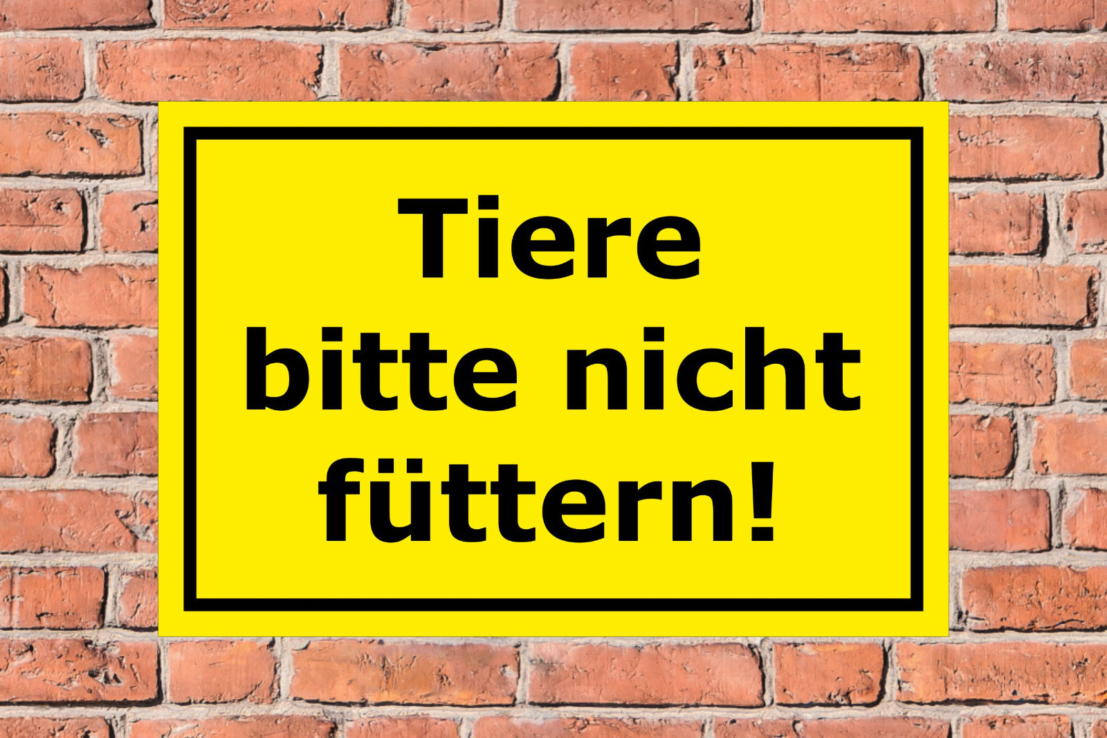 Bild 4 von 5