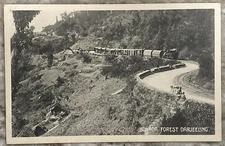 Sonada Forest Darjeeling India Locomotive RR D. Marcopolo Co. DB Postcard B552