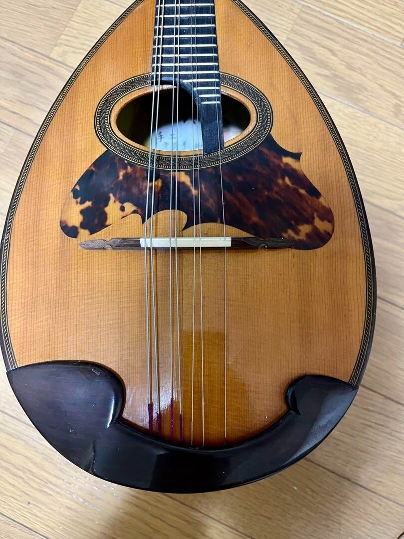 Mandolin Suzuki violin Japan vintage String Wood Instrument