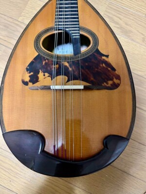 マンドリン　 SUZUKI VIOLIN Suzuki Violin Mandolin Instrument Stringed Instrument