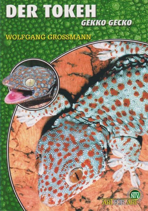 Thumbnail - Der Tokeh | Gekko Gecko | Wolfgang Grossmann | Taschenbuch | Art Für