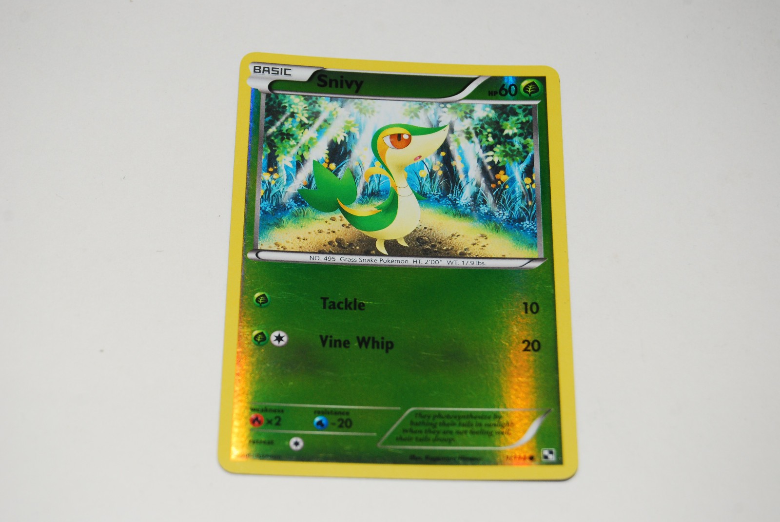 SNIVY 1/114 Reverse Holo Pokemon Black & White Card - LP