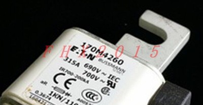 ONE NEW   fuse 170M4260 Break Fuse #A6-9