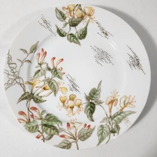 Charles Field Haviland Limoges Plate Botanical Gold CFH GDM Artist Signed C.1889