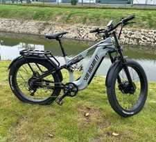 Gebraucht Dual Motor 2000W Elektrofahrrad 26''48V E-Bike E-Mountainbike Ölbremse