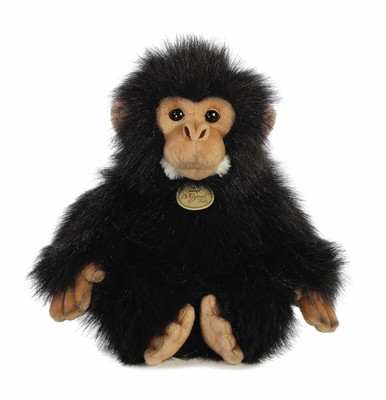 chimp teddy