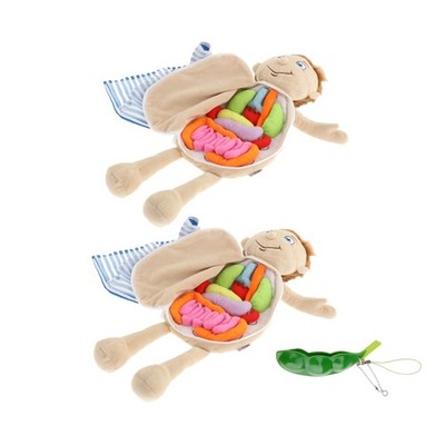 2Pcs 3D Organ Body Anatomy Educational Plush Toys for | eBay Australia