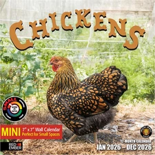 Chickens 2026 Mini Wall Calendar 12 Month | 7" X 14" Open | Thick & Sturdy Paper