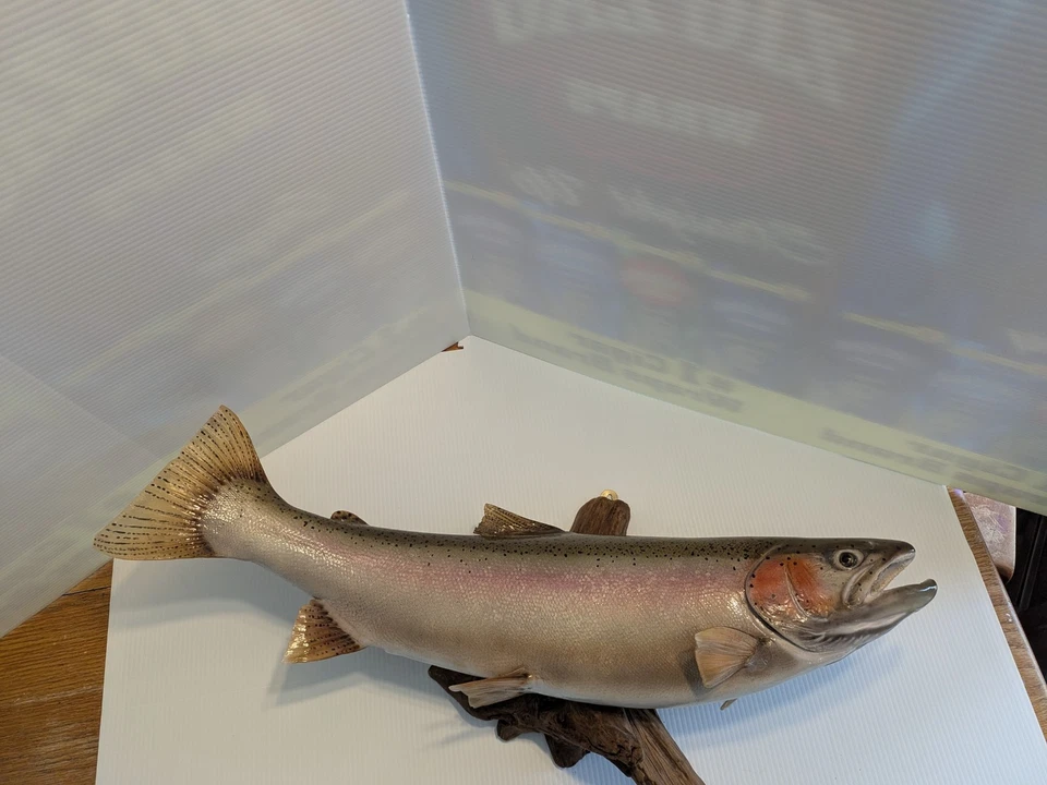 Montaje de reproducción de fibra de vidrio 30" RAINBOW TRUUT peces colectivos Foto 4 de 4