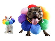 Pet Adjustable Recovery Collar S