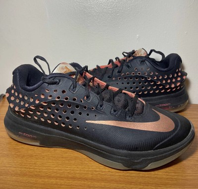 kd 7 rose