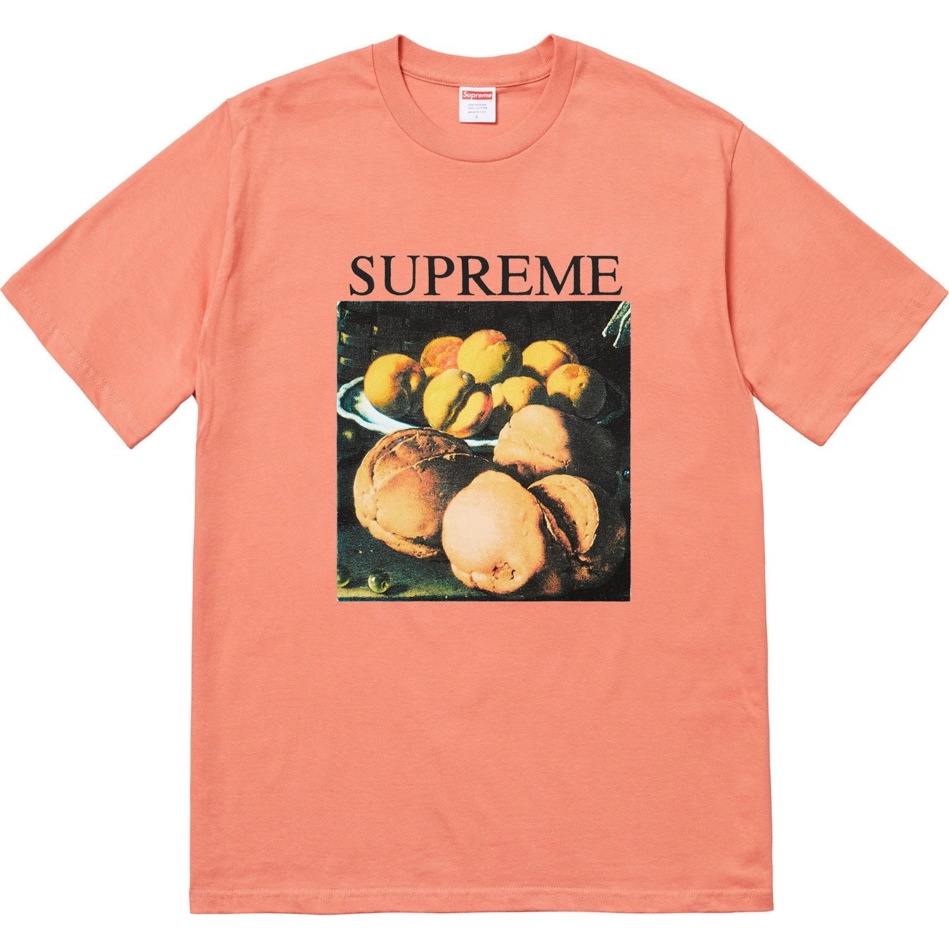 Supreme Still Life Tee T Shirt Terracotta Medium Size M DS Condition FW18