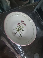 BOWL BOTANICAL CHIMAPILA UMBELLATA FLORAL Serving Bowl  13" PINK RIM ITALY