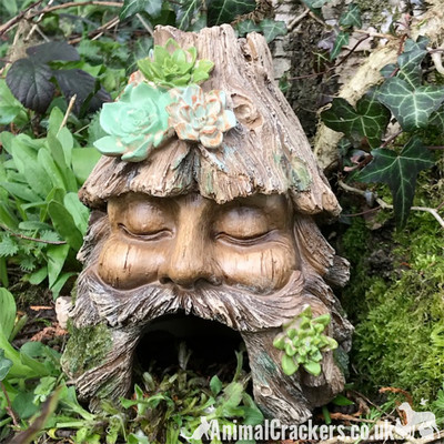 Frog Toad House Face In Tree Stump Design Weatherproof Garden Or