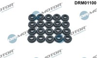 DRM01100 Dr.Motor Automotive Dichtung, Zylinderkopfhaubenschrauben FüR Chevrolet