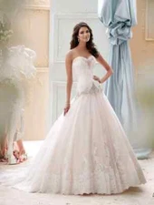 David Tutera Ivory Light Gold Embellished Strapless Wedding Gown Size 10 $2073