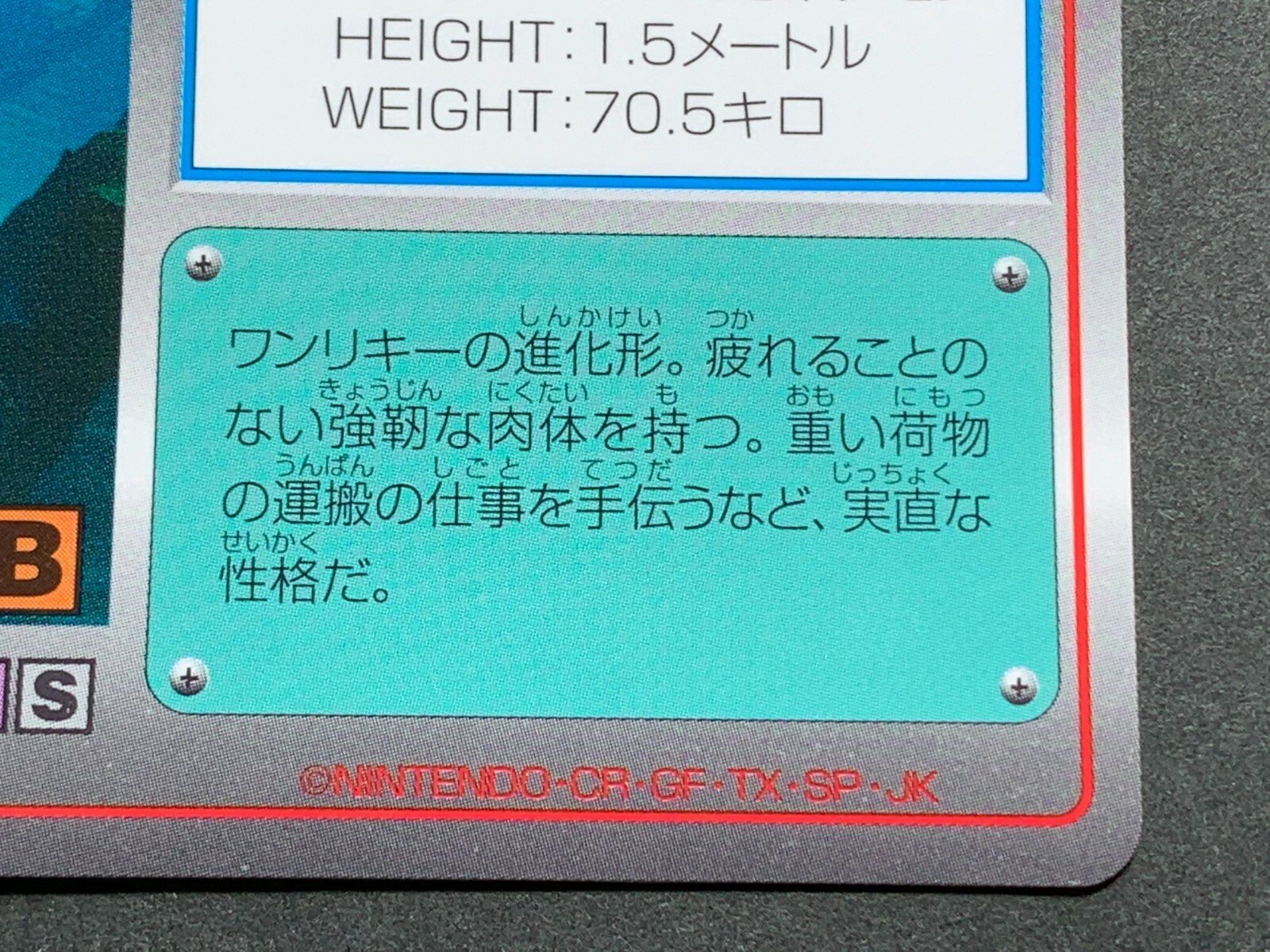 Picture 4 of 12