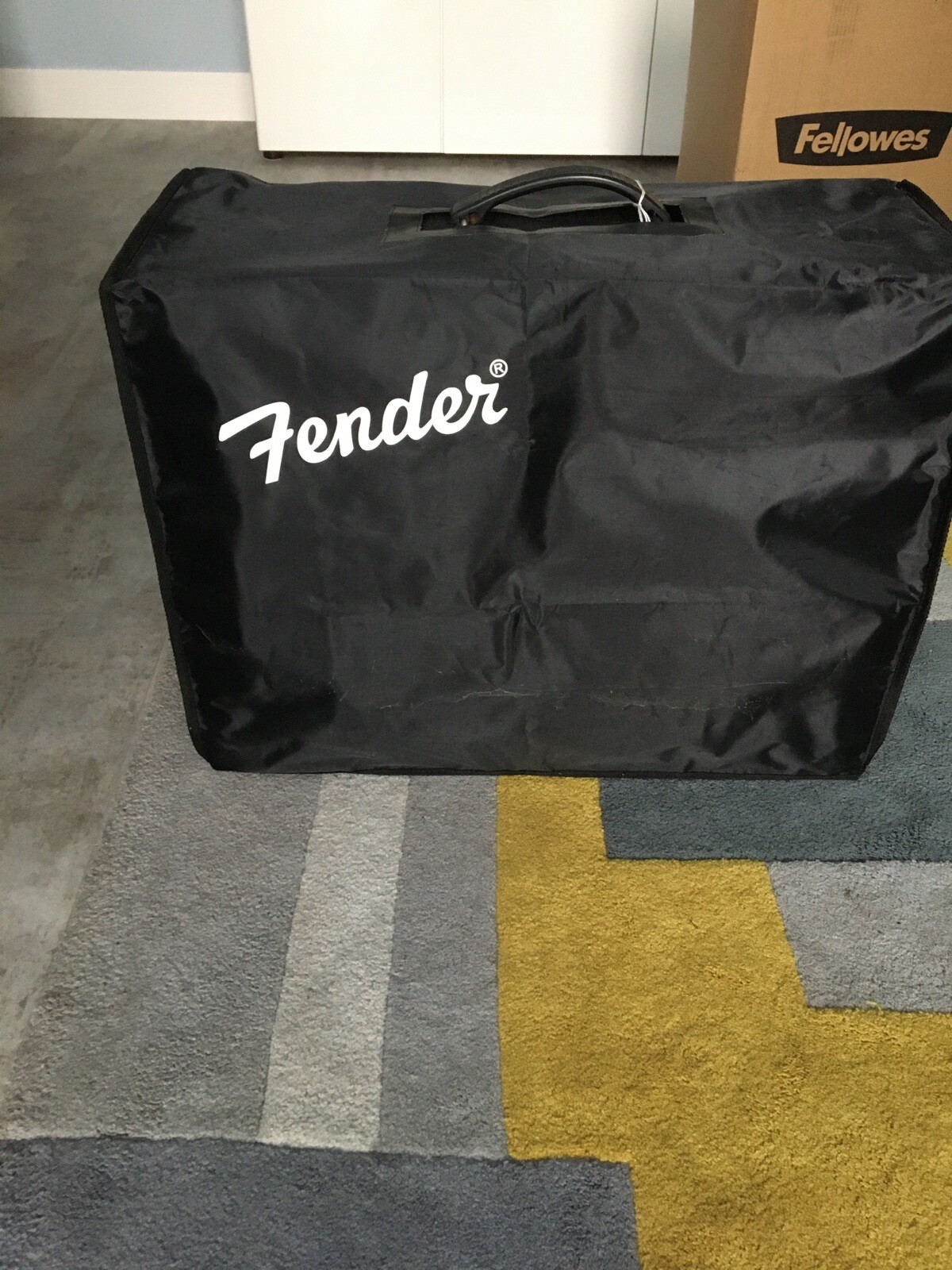 Guitar Fender Amp eBay