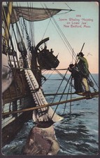 Hoisting Lower Jaw of sperm whale New Bedford MA Whaling postcard c 1915