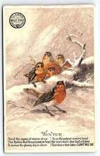 c1880 CLARK'S MILE-END SPOOL COTTON THOMAS RESSELL WINTER BIRDS TRADE CARD P1962