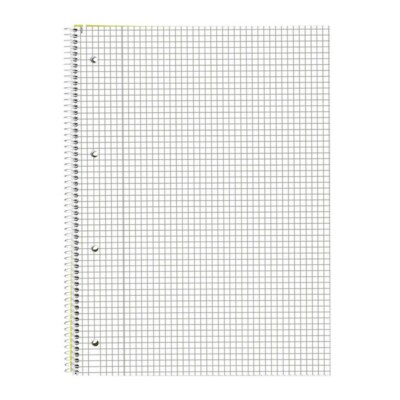 10er Sparpack Collegeblöcke A4 kariert, 80 Blatt, 70 gr/m² - Hausmarke - B-Ware
