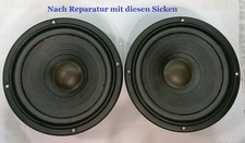 2 x bordature per JBL A0908A TLX16 MKII,TLX510,TLX700,TLX500, incl. colla e istruzioni