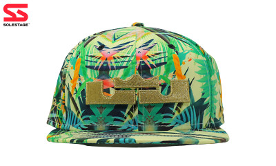 Nike x Lebron James Celebration Pack Snap Back Hat (635997-353