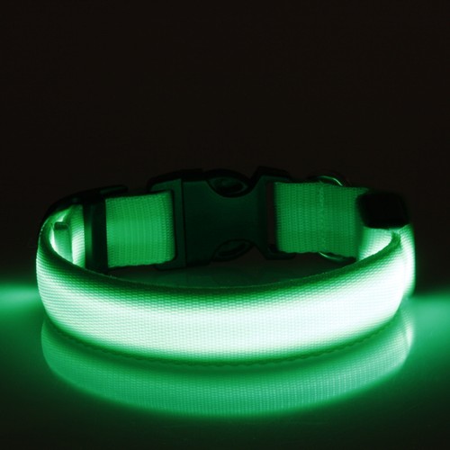 LED Glow Collar Dog Puppy Pet Flashing Light Safety Glow In The Dark FAST POST - Picture 63 of 81