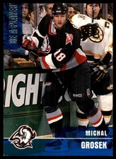Michal Grosek 1999-00 Be a Player Memorabilia #32 Sabres NHL READ FREE SHIPPING