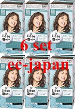 Kao LIESE Soft Creamy Bubble Foam Hair Color Dying Kit New York Ash 6 set