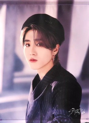 Stray Kids 5-STAR Dome Tour 2023 A3 Tapestry Mail Order Only