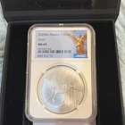 2020 Mexican Silver Libertad 1 oz — photo from another recent sale