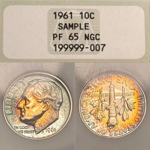 PF65 1961 10C Roosevelt Silver Proof Dime NGC Fatty- SAMPLE Holder, Nicely Toned