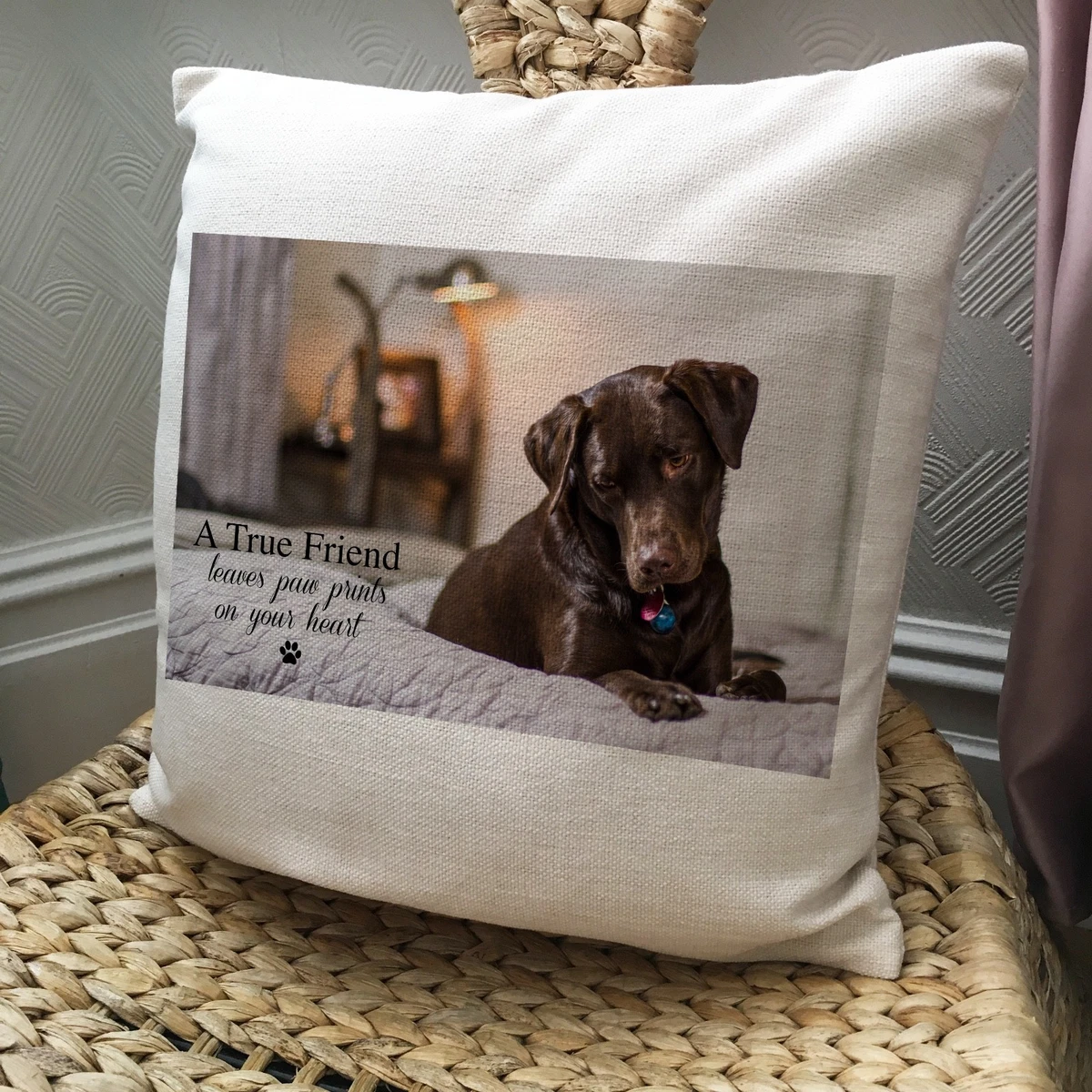 Print your sales pet pillow